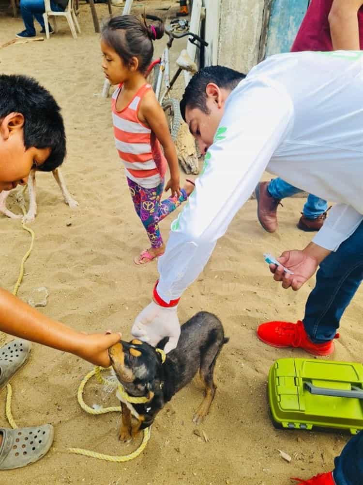 Claudio Trujillo impulsa campaña de protección de los animales de la calle