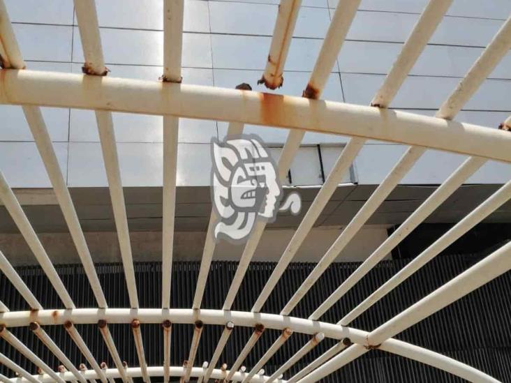 Falta atención a Puente de la Amistad 