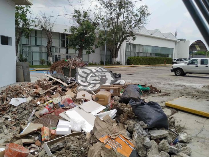 Por Covid han muerto 6 catedráticos de la UV en norte de Veracruz