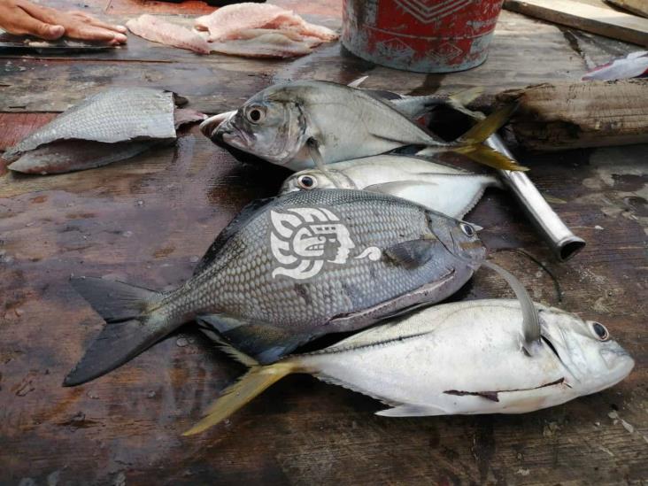 Abundan pescadores pero escasean los peces en Veracruz