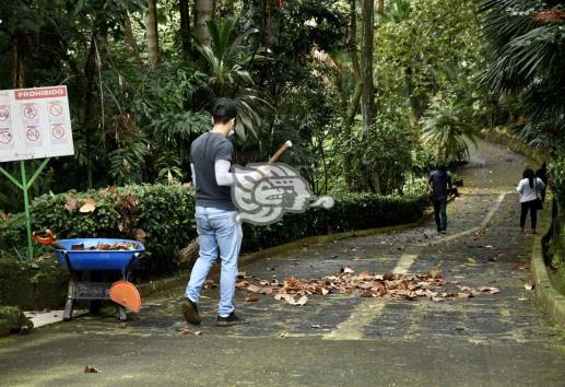 Reabren parques de Xalapa a un 50% de su aforo