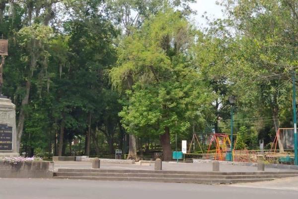 Prohibición del uso de vehículos en parque Los Berros no pasó por comisiones: regidor
