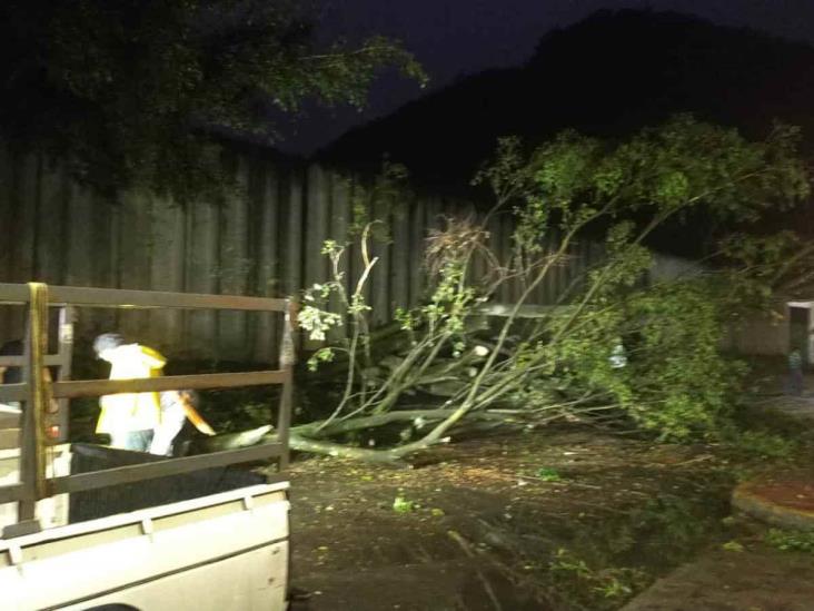 Fuerte tormenta provoca afectaciones en zona centro; reportan cultivos afectados