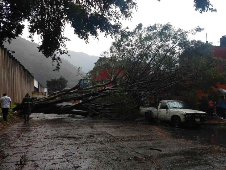 Fuerte tormenta provoca afectaciones en zona centro; reportan cultivos afectados