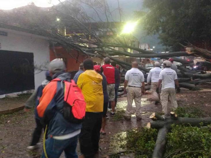 Fuerte tormenta provoca afectaciones en zona centro; reportan cultivos afectados