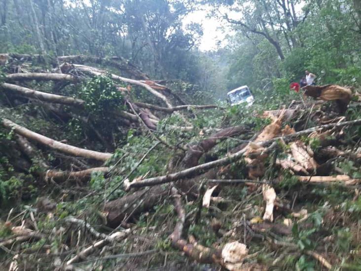 Fuerte tormenta provoca afectaciones en zona centro; reportan cultivos afectados