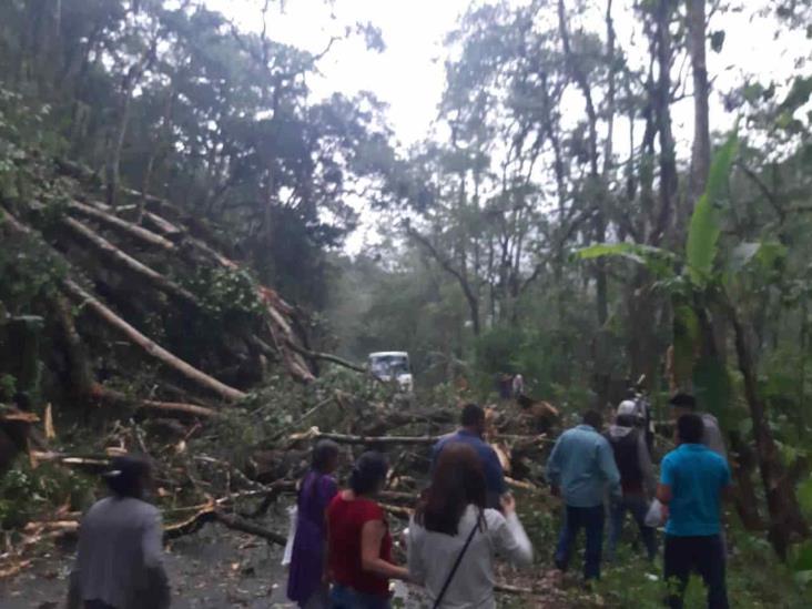 Fuerte tormenta provoca afectaciones en zona centro; reportan cultivos afectados