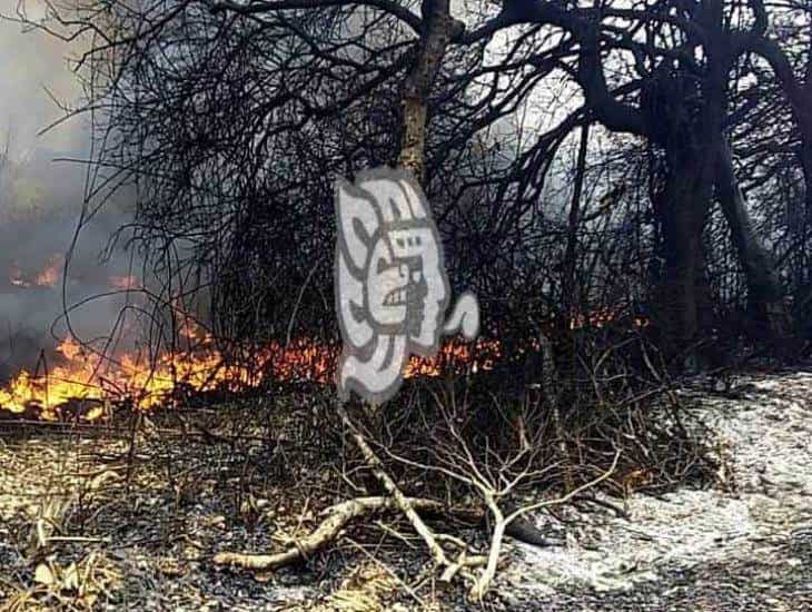 Residuos de crudo genera incendio en predios de Hueyapan