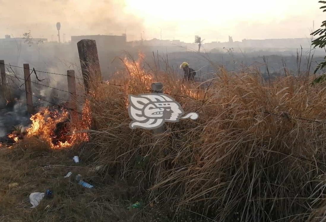 Bomberos sofocan intenso incendio de pastizales