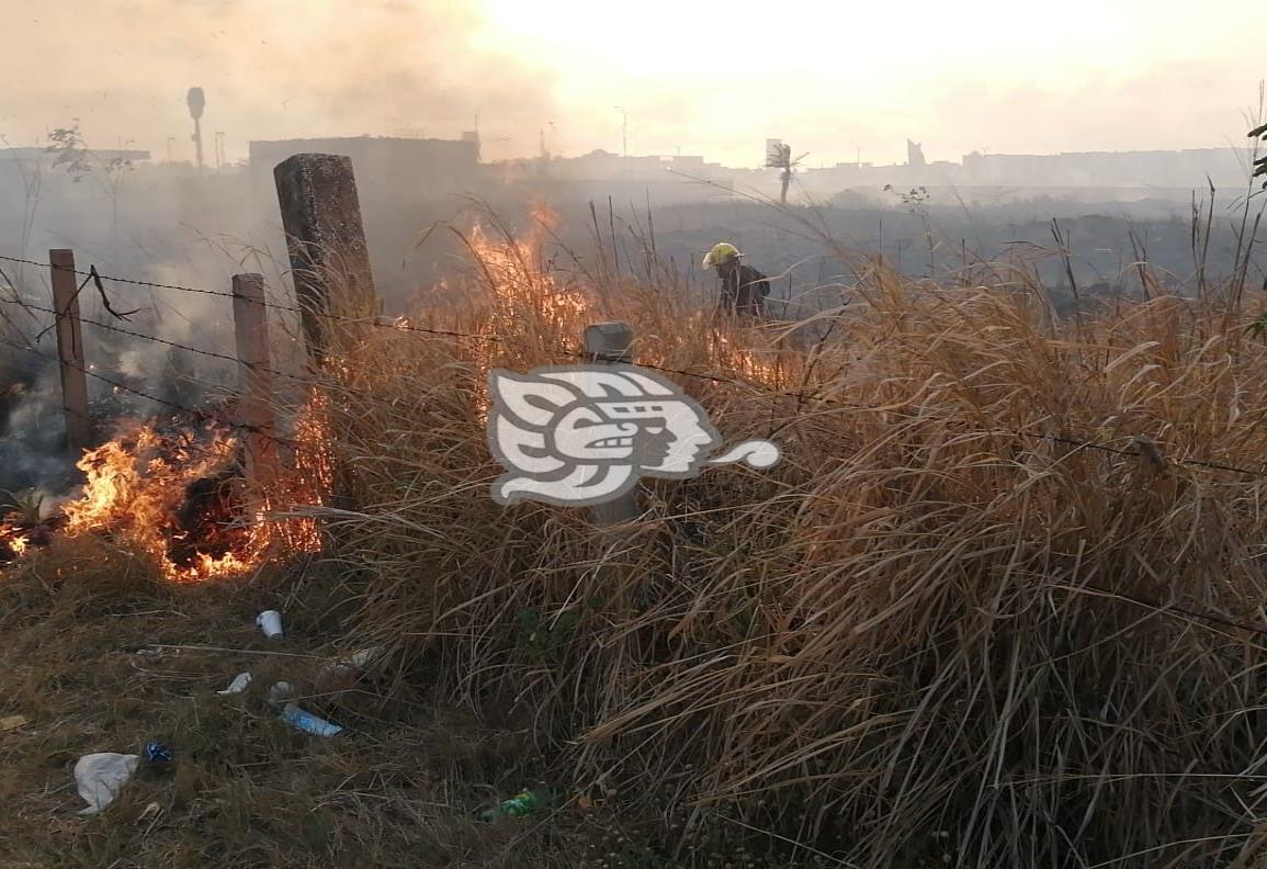 Bomberos sofocan intenso incendio de pastizales