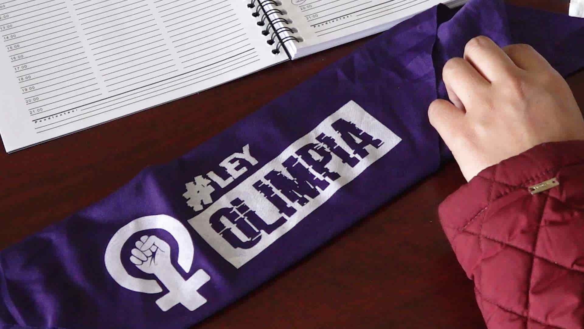 Ley Olimpia, primer paso para erradicar violencia digital en México: Inai