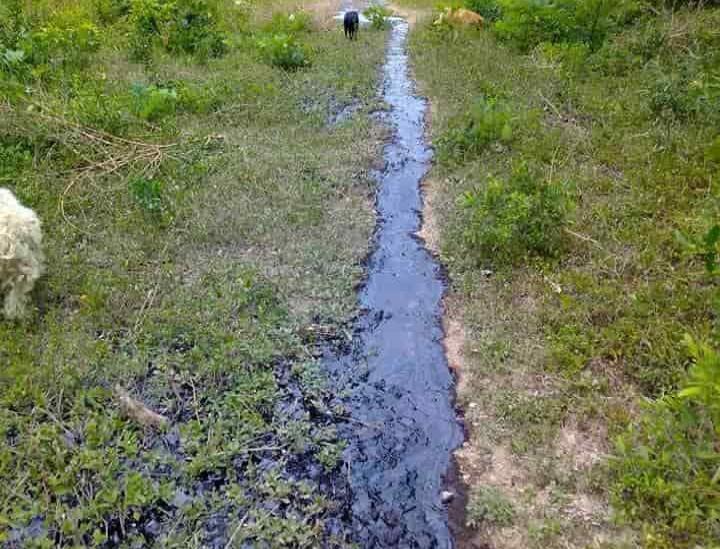 Reportan fuga de hidrocarburo en comunidad Reforma, en Papantla