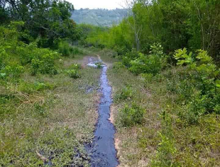 Reportan fuga de hidrocarburo en comunidad Reforma, en Papantla