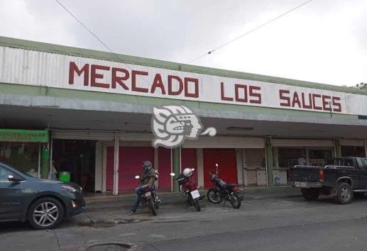 Mercado Los Sauces, abandonado por autoridades de Xalapa