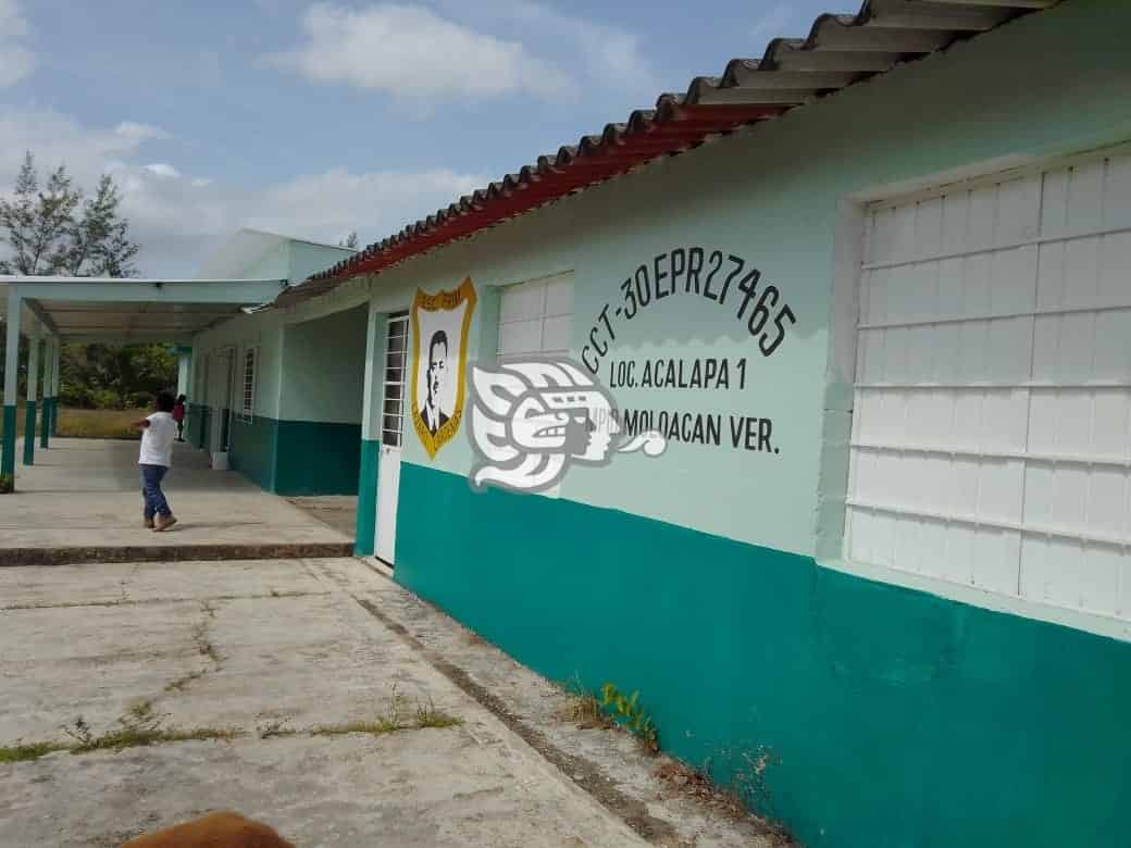 Retoman actividades en aulas de primaria de Moloacán 