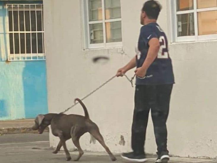 Identifican a dueño del perro que atacó a niño en días pasados en Puerto de Veracruz