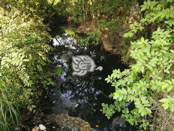 Probable contingencia ambiental en Ixhuatlán; se agrava derrame en arroyo