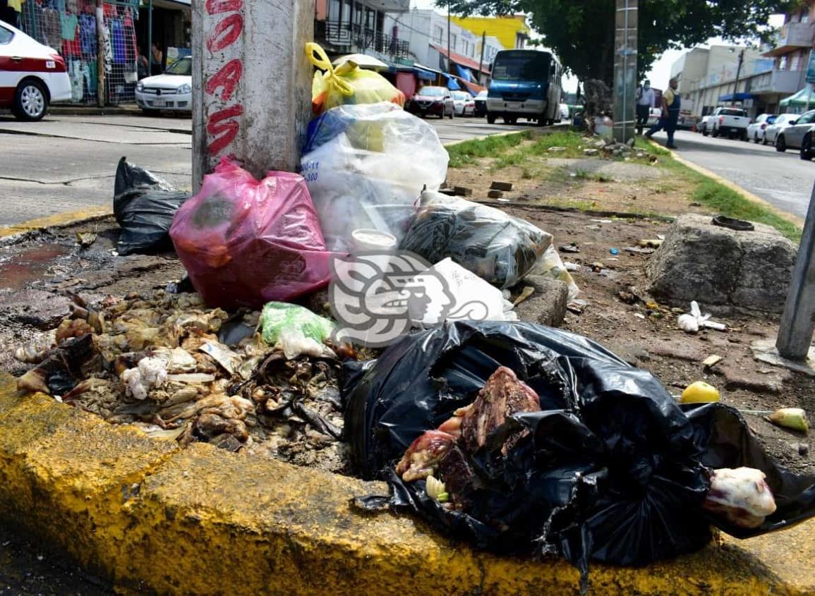 Desechos de carnicerías generan foco de infección