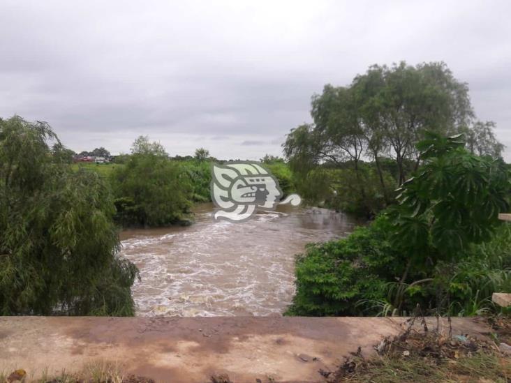 Fuerte viento y lluvia tira árboles en Cosolea; afluentes crecen