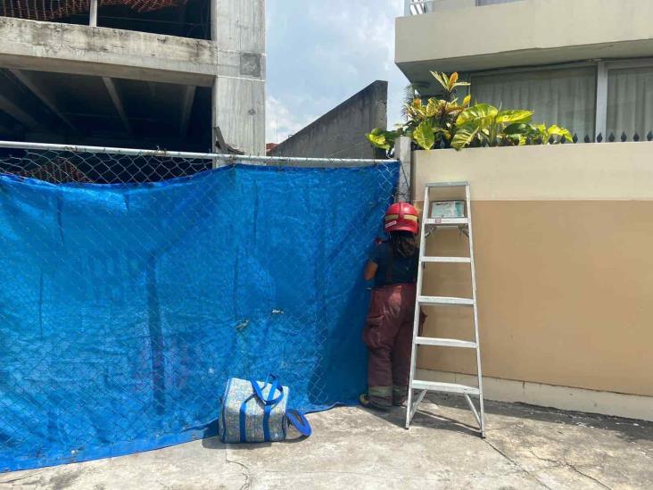 Bomberos rescatan a 6 gatitos en Veracruz