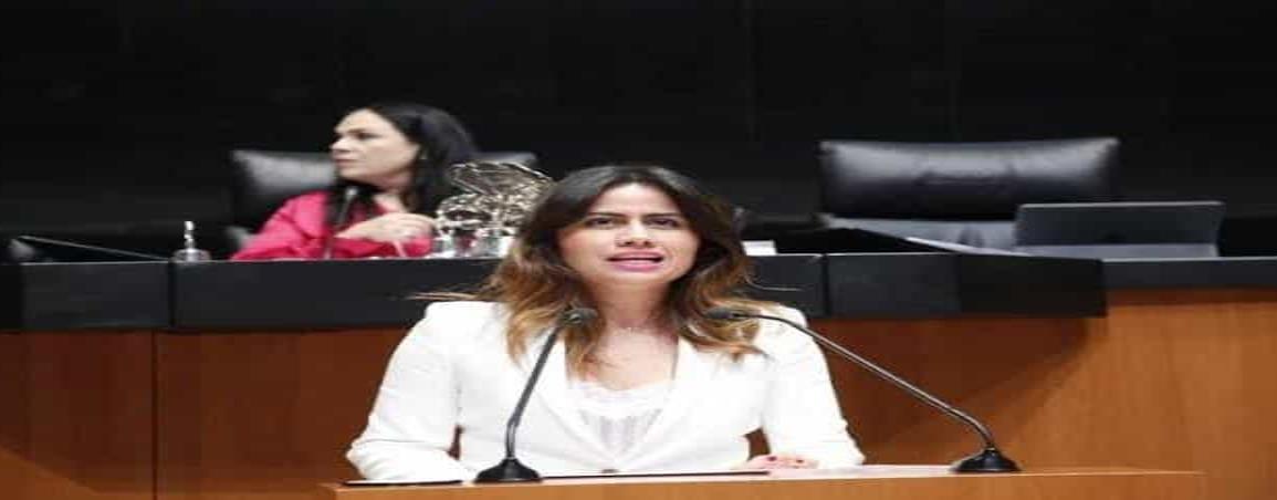 Eliminación de plurinominales debe analizarse: Indira