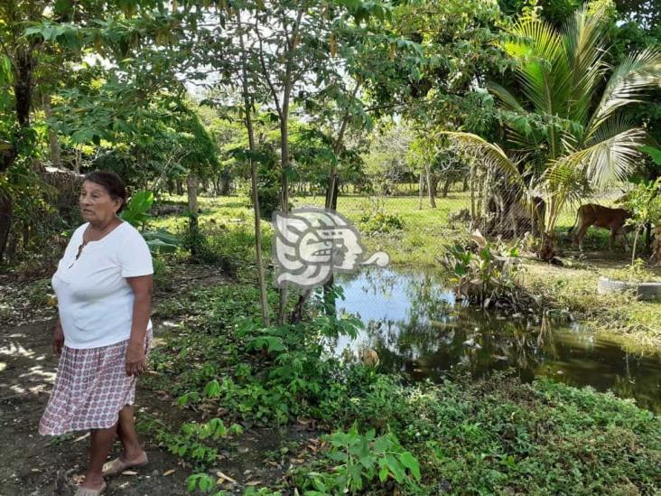 Solicitan desazolve de canal en congregación Tenejapa