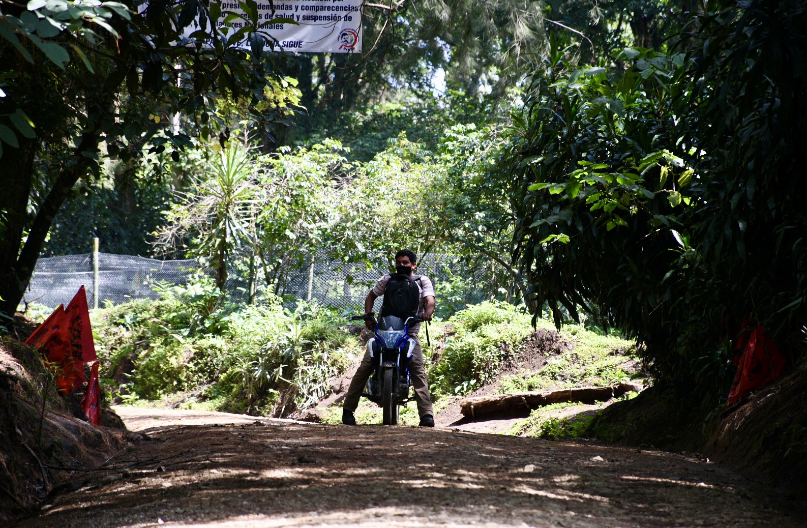 En bosque de Coatepec no hay caza furtiva; inmobiliarias no deben pisar ley: Profepa