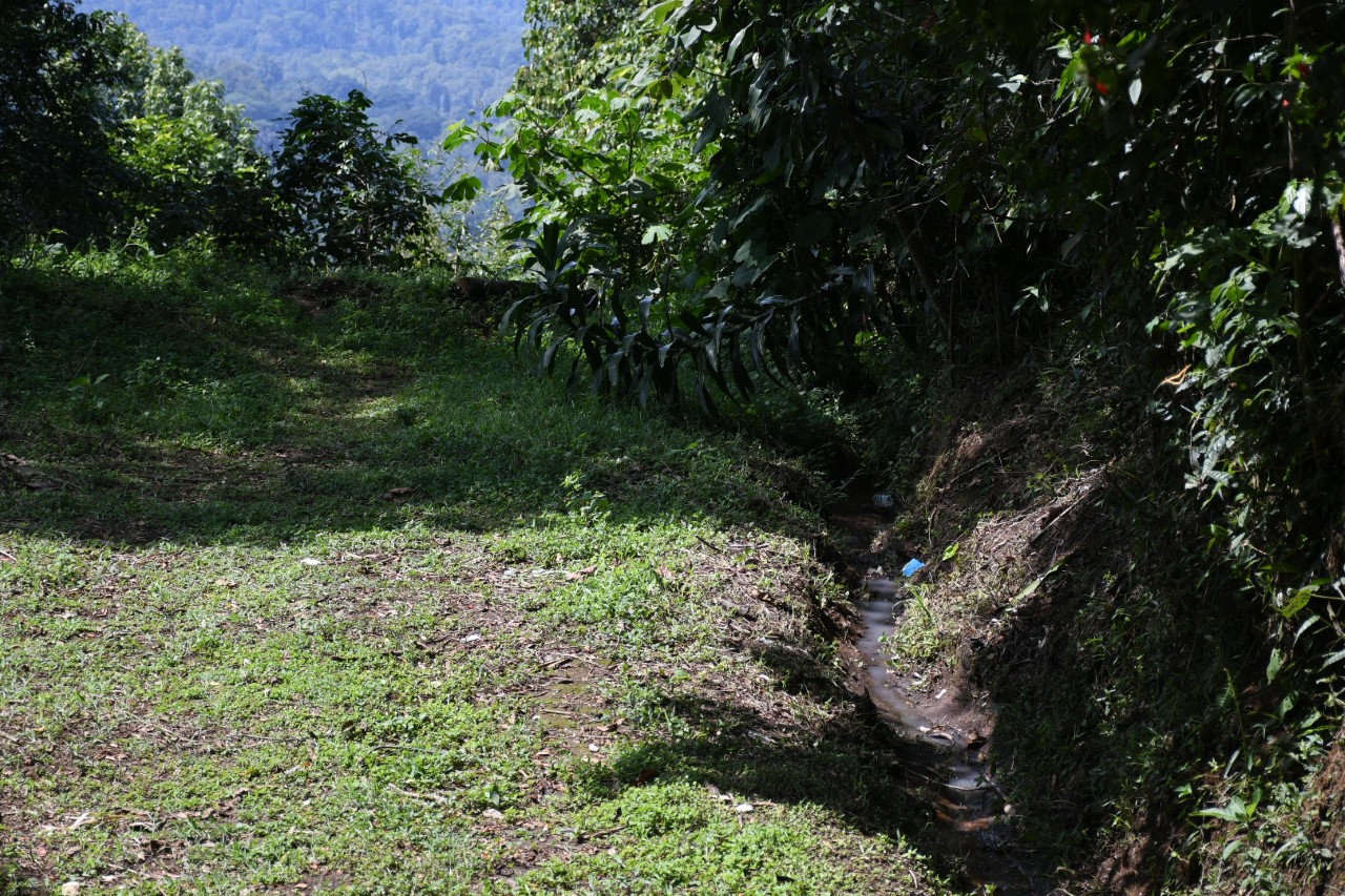 En bosque de Coatepec no hay caza furtiva; inmobiliarias no deben pisar ley: Profepa