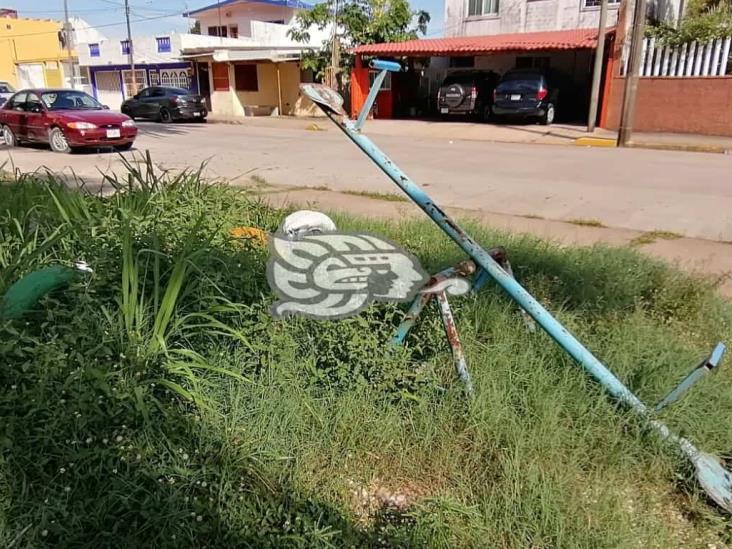 En el abandono Parque infantil de la colonia Vistalmar