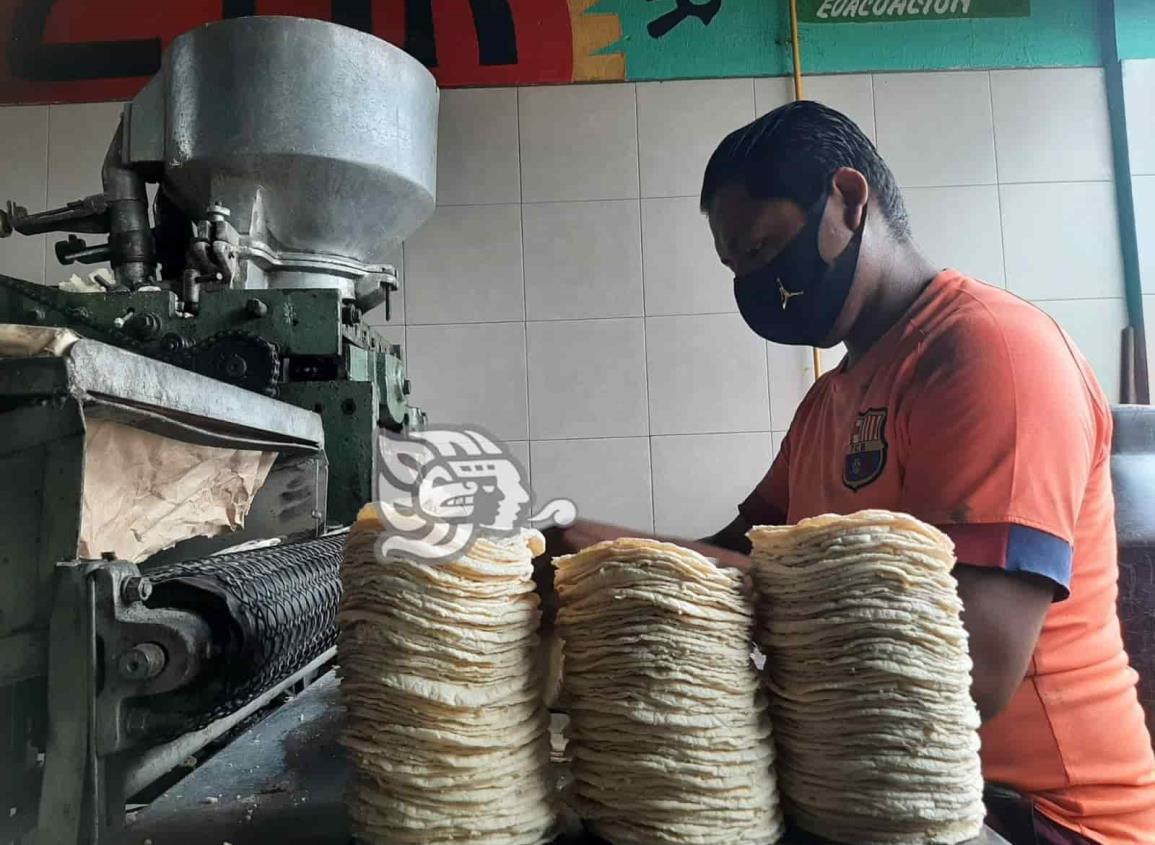 Costará el kilo de tortilla hasta 21 pesos en Coatzacoalcos