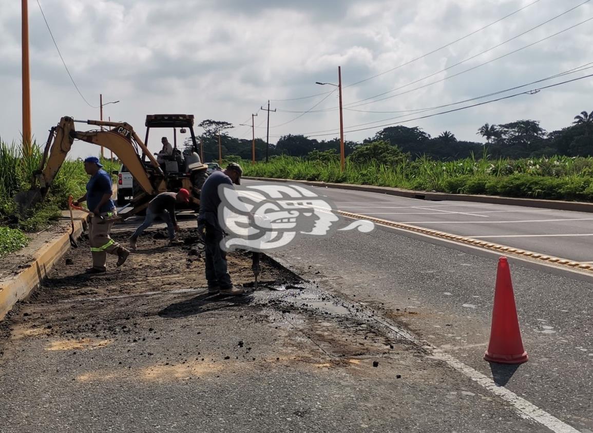 Malas condiciones de Costera del Golfo, dolor de cabeza para automovilistas  