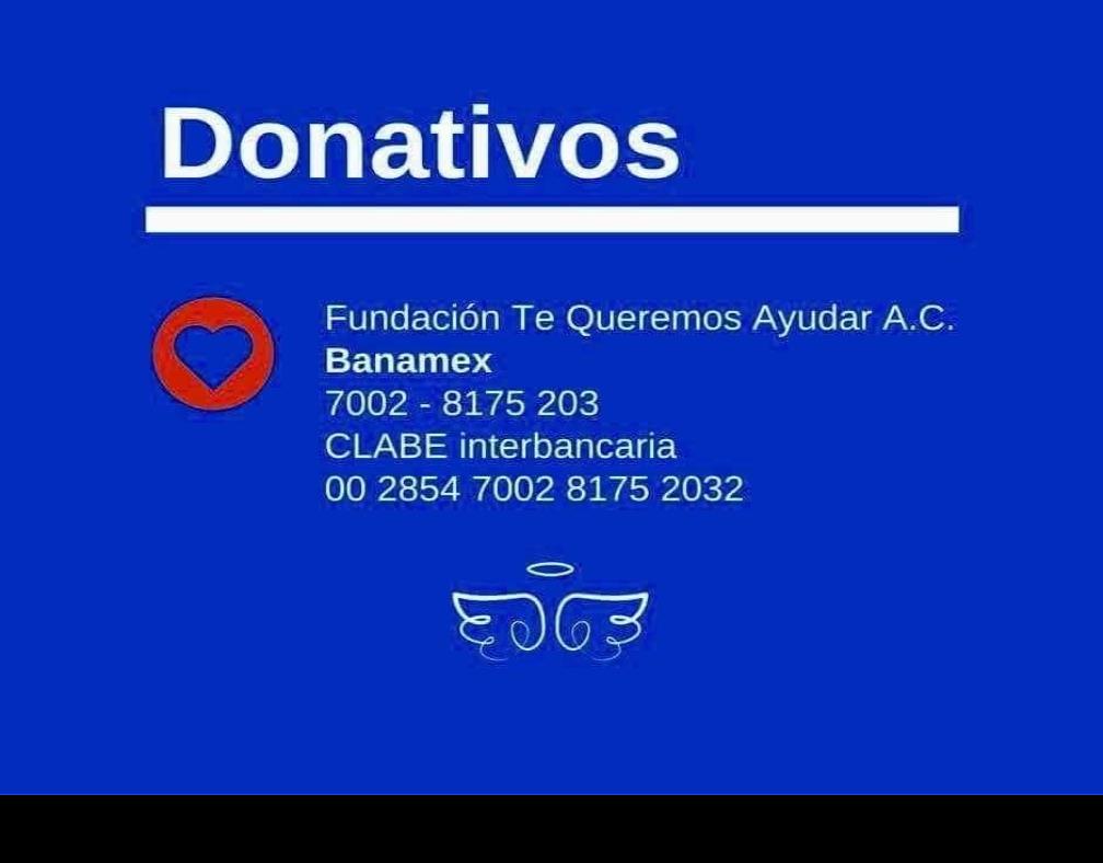 Fundación Te Queremos Ayudar atraviesa difícil situación económica 