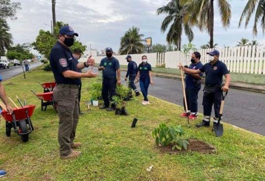 Sembrarán 10,000 arbolitos en Boca del Río.