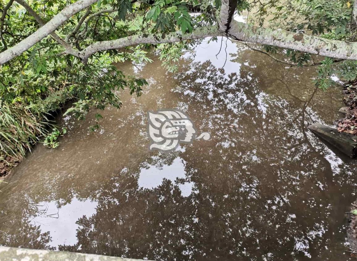Urgen atender contaminación en arroyos de Nanchital e Ixhuatlán