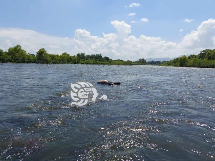 Encuentran cuerpo de hombre en estado de descomposición en el Río Bobos