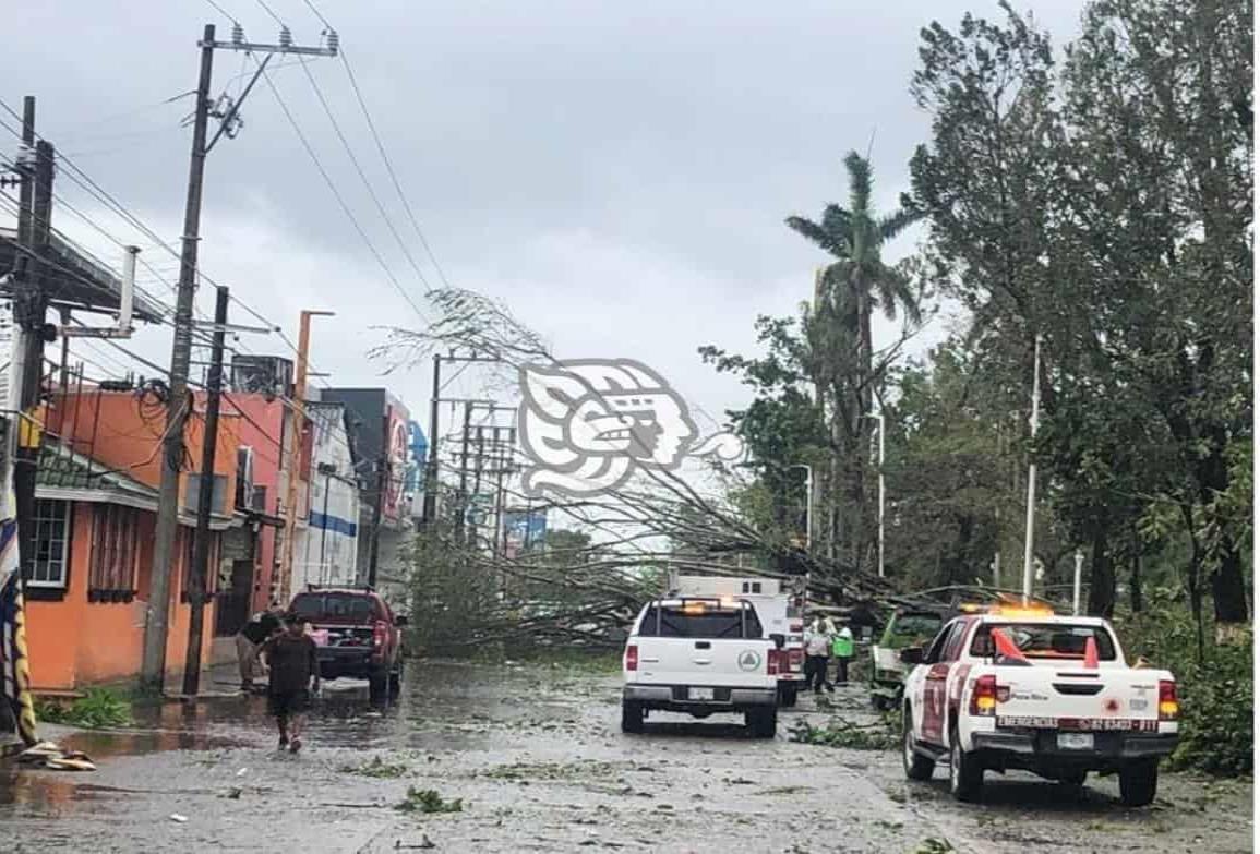 CFE restablecerá servicio a más de 300 mil veracruzanos tras paso de Grace
