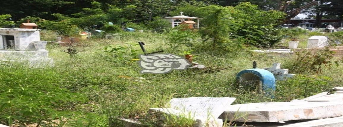 Panteón Jardín de Coatzacoalcos, lleno de maleza y tumbas dañadas