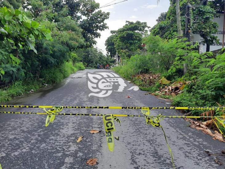 Tormenta eléctrica tiró árboles y cables de alta tensión en Nanchital