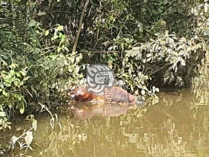 Localizan cadáver a un costado del río en rancho de Jesús Carranza 