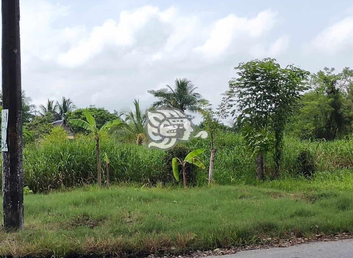 Vecinos en Moloacán piden poner atención a predios en abandono