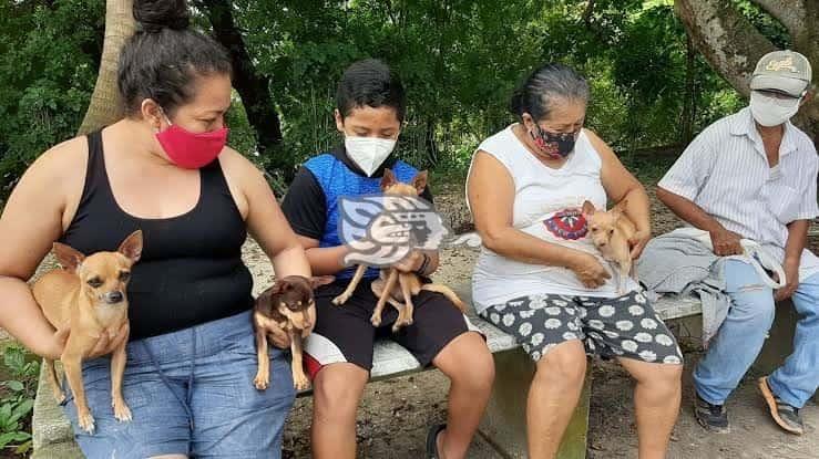 Más de 4 mil mascotas serán vacunadas en Nanchital