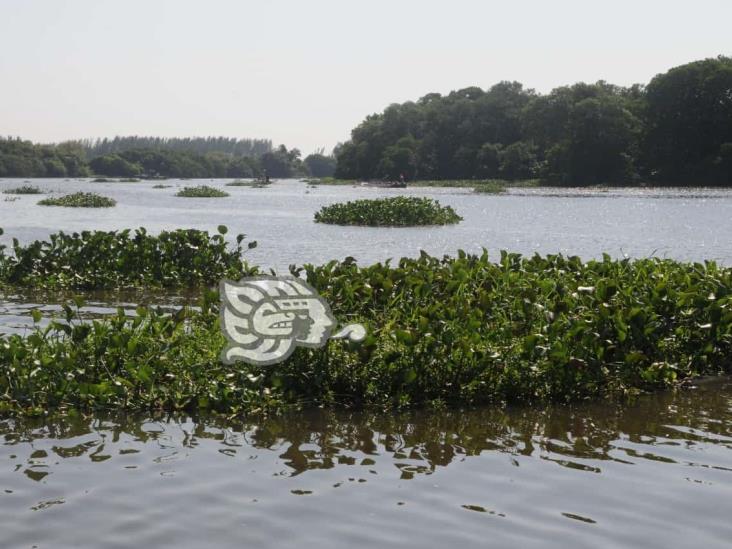 Spimver solicita autorización de dragado en río Calzadas y Coatzacoalcos