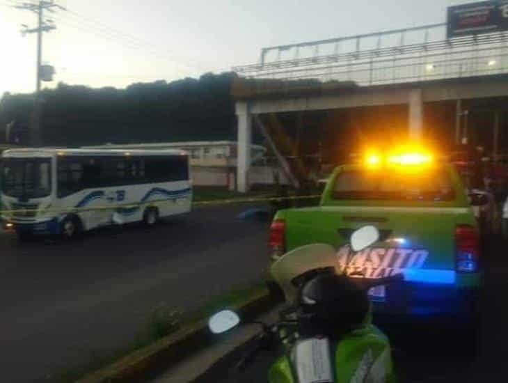 Muere elemento de Tránsito en choque sobre la Xalapa-Banderilla