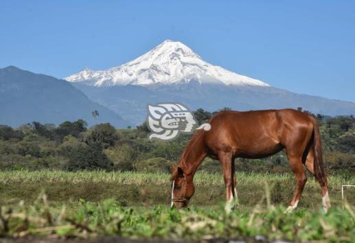 Puebla y Veracruz deben mantener coordinación para conservar Pico de Orizaba: biólogo