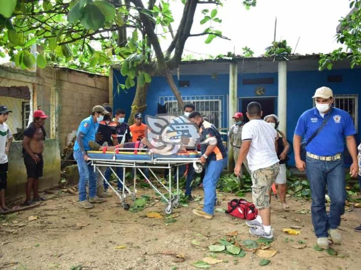 El Changoleón cae desde 6 metros al desramar árbol en Acayucan 