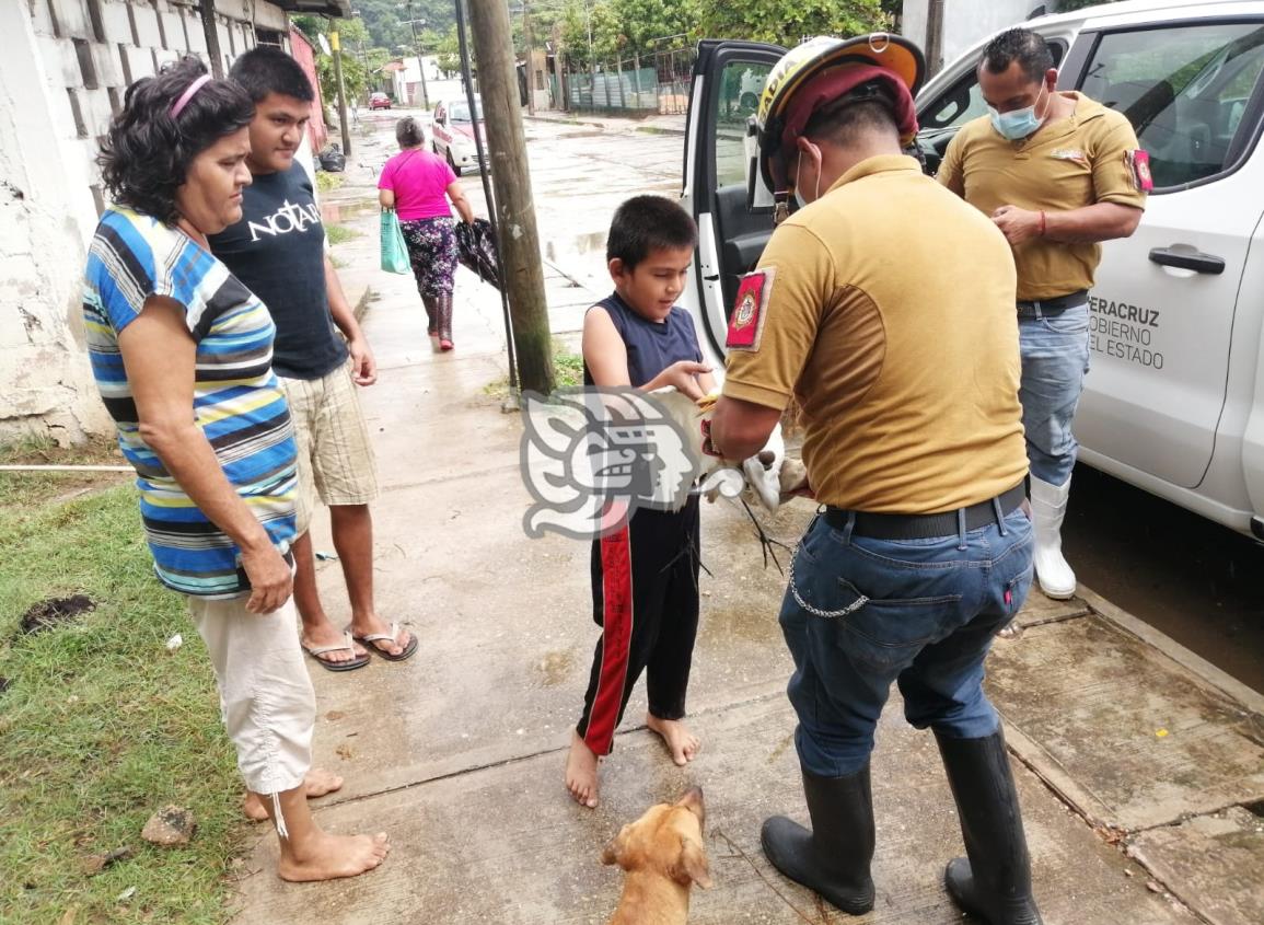 Menor rescata garza lesionada y la entrega a Protección Civil