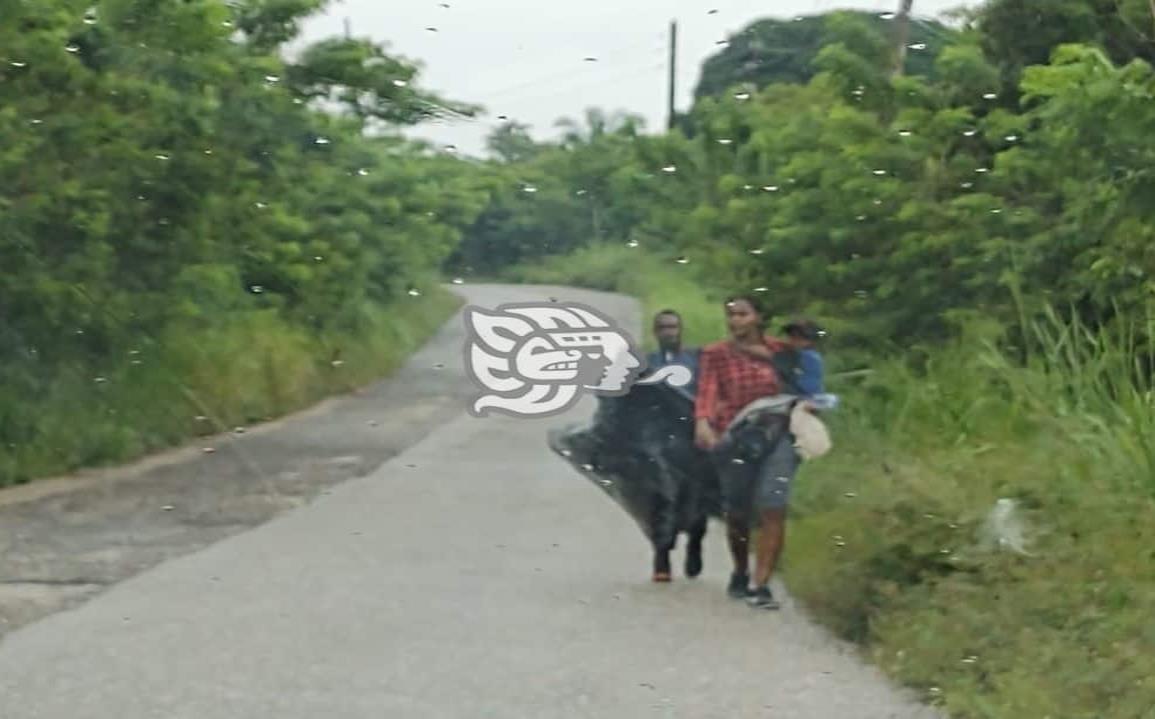 Peligros ni condiciones climáticas frenan a migrantes en el sur de Veracruz 