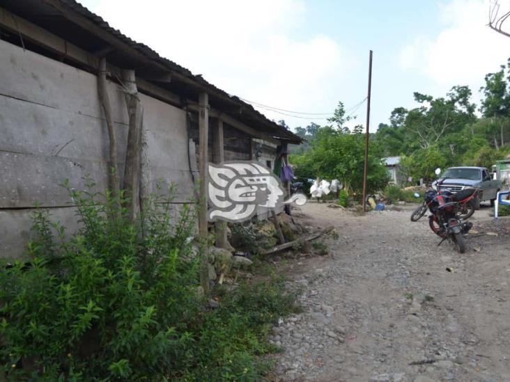Hallan con vida a menor secuestrado en comunidad de Papantla