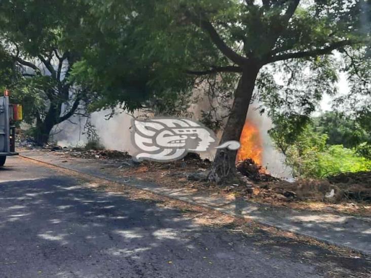 Incendio de lote baldío provoca movilización en Veracruz puerto