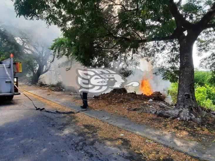 Incendio de lote baldío provoca movilización en Veracruz puerto